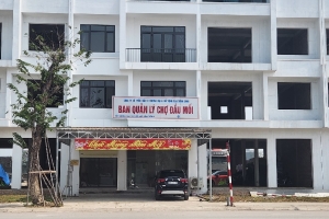 Vụ án tại Tập đoàn Phúc Sơn: Kê biên, thu giữ 1.444 sổ đỏ, 534 cây vàng