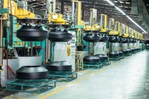 Cao su Đà Nẵng (DRC) : Lợi nhuận giảm 39,3% trong quý III/2024, về 45,93 tỷ đồng
