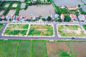 Dừng phiên đấu giá 39 lô đất ở Quốc Oai để rà soát