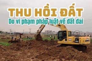 Long An thu hồi đất của Công ty TNHH Thép Long An