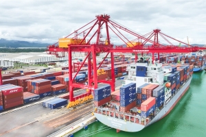 Cảng Chu Lai xếp dỡ gần 4.000 TEUs hàng hóa chỉ trong hơn 24 giờ
