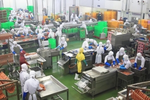 TP. Hồ Chí Minh đưa ra nhiều Chiến lược phát triển ngành chế biến lương thực thực phẩm
