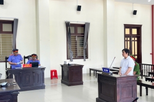 Long An: Khai thác đất trái phép, 01 giám đốc doanh nghiệp bị phạt 2 năm tù