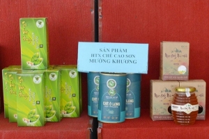 Lào Cai có gần 100 nhãn hiệu bảo hộ cho sản phẩm nông nghiệp