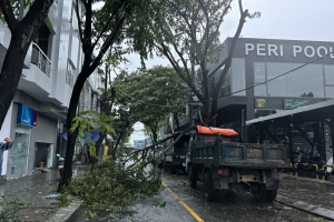 Bão số 6 đi vào đất liền, hàng loạt cây xanh ở Đà Nẵng bị đổ