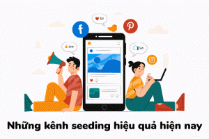 Seeding là gì? Seeding mang đến lợi ích gì cho doanh nghiệp?