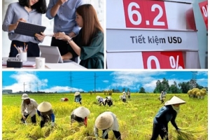 Chính sách mới có hiệu lực từ tháng 11/2024