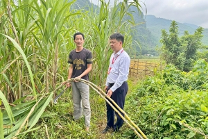Agribank Thanh Hóa Hỗ trợ khách hàng bị thiệt hại do bão lũ khôi phục sản xuất, kinh doanh