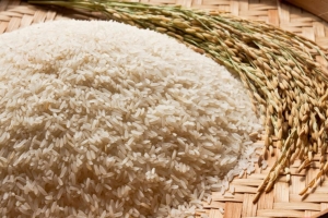 Giá lúa gạo hôm nay 4/11: Giá lúa ổn định, giá gạo tăng nhẹ