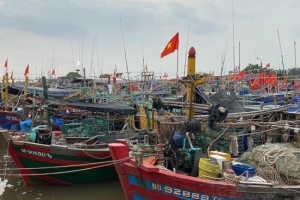 Hải Phòng: Tăng cường kiểm soát sản lượng khai thác thủy sản
