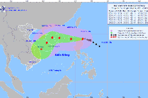 Thủ tướng Chính phủ chỉ đạo ứng phó bão YINXING