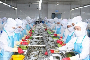 Hội nghị kết nối giao thương giữa doanh nghiệp Việt Nam và doanh nghiệp Châu Mỹ