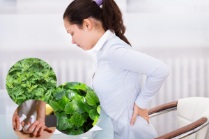 Các phương pháp chữa thoái hóa đốt sống an toàn, hiệu quả, ngăn tái phát