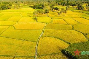 Quy định mới về tách thửa, hợp thửa đất tại Gia Lai từ 10/11