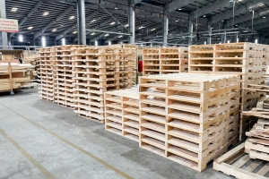 Công ty Đóng gói và Tháo kiện THILOGI cung ứng đa dạng sản phẩm pallet gỗ
