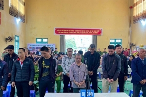 Lạng Sơn: Thỏa thuận trộm cắp cây cảnh giá trị cao, 12 bị cáo lĩnh án