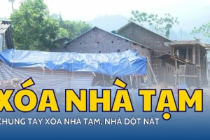 Đồng Tháp triển khai hiệu quả việc xóa nhà tạm, nhà dột nát