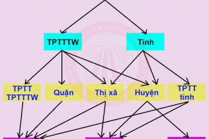 Ủy ban Thường vụ Quốc hội tán thành: Giảm 1 đơn vị hành chính cấp huyện và 161 cấp xã