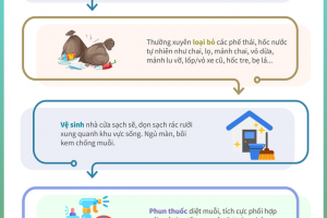 Lưu ý quan trọng phòng chống sốt xuất huyết cho mỗi gia đình