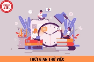 Thời gian thử việc có được tính phép năm 2024 không?
