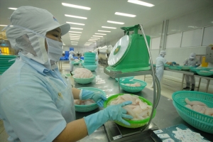 Năm 2024 xuất khẩu cá tra của Việt Nam có thể đạt 2 tỷ USD