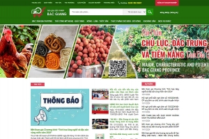 Hơn 22,83 triệu lượt truy cập và giao dịch trên sàn thương mại điện tử Bắc Giang