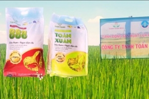 Nam Định đề nghị công nhận 3 sản phẩm OCOP quốc gia