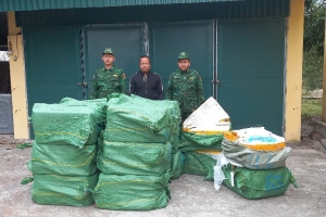 Đồn Biên phòng Trà Cổ bắt giữ vụ vận chuyển 880kg nầm lợn đông lạnh không rõ nguồn gốc