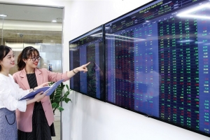 Chứng khoán phiên chiều 29/11: Điểm sáng từ cổ phiếu FPT