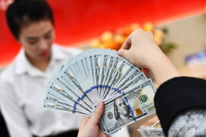 Tỷ giá USD hôm nay 20/5: Đồng USD tăng