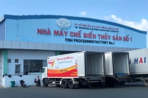 Cho Công ty mẹ là Công ty CP Tập đoàn Sao Mai vay tiền, I.D.I. bị xử phạt