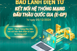 Ngân hàng tiên phong kết nối Mạng đấu thầu quốc gia để triển khai bảo lãnh dự thầu điện tử