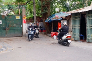 The Nelson rao bán