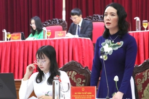 Giải pháp quản lý và sử dụng hiệu quả các thiết chế văn hóa tại Nghệ An