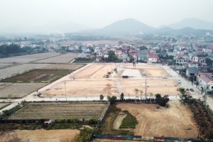 Hà Nội: Tránh tổ chức đấu giá tại nơi có giá khởi điểm thấp