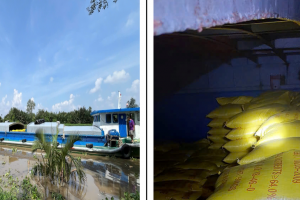 Tạm giữ phương tiện vận chuyển 570 tấn phân bón không rõ nguồn gốc