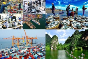 Điểm sáng kinh tế xã hội 11 tháng năm 2024