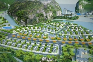 Công ty con muốn vay Vinaconex 300 tỷ đồng để làm dự án du lịch Cát Bà
