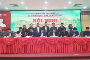 Quảng Ninh: Kết nối cung ứng, tiêu thụ nông sản với các tỉnh phía Bắc
