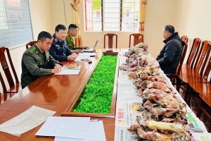 Lạng Sơn: Phát hiện, bắt giữ 2 vụ buôn bán động vật hoang dã