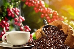 Giá cà phê hôm nay 2/5: Lao dốc dưới 87.000 đồng/kg