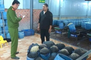UBND tỉnh Đắk Lắk yêu cầu kiểm tra sau vụ giá đỗ ngâm chất cấm