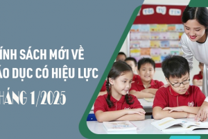 Chính sách mới về giáo dục có hiệu lực từ tháng 1/2025