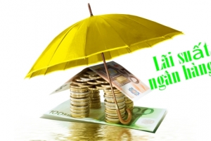 Lãi suất ngân hàng hôm nay 2/1/2025: Thị trường lãi suất sôi động