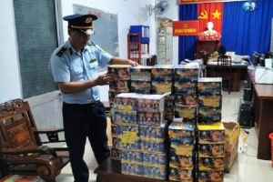Ngăn chặn kịp thời đối tượng vận chuyển 150kg pháo hoa lậu tại Long An