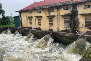 VĨnh Phúc: Kiểm tra công tác chuẩn bị lấy nước đợt I phục vụ gieo cấy vụ Đông Xuân 2024-2025