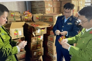 Hà Nội tạm giữ 13.564 kg thực phẩm đóng gói nhập lậu