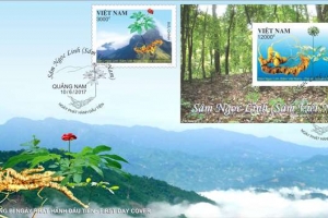 Đề xuất phát hành bộ tem thương hiệu sâm Ngọc Linh tại Lễ hội sâm Ngọc Linh quốc tế