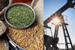 Hôm nay, nhóm năng lượng dẫn dắt xu hướng khởi sắc toàn thị trường với 5 mặt hàng đồng loạt tăng
