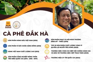 Cà phê Đắk Hà – hành trình 15 năm gìn giữ hương vị đích thực